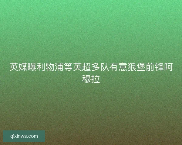 英媒曝利物浦等英超多队有意狼堡前锋阿穆拉